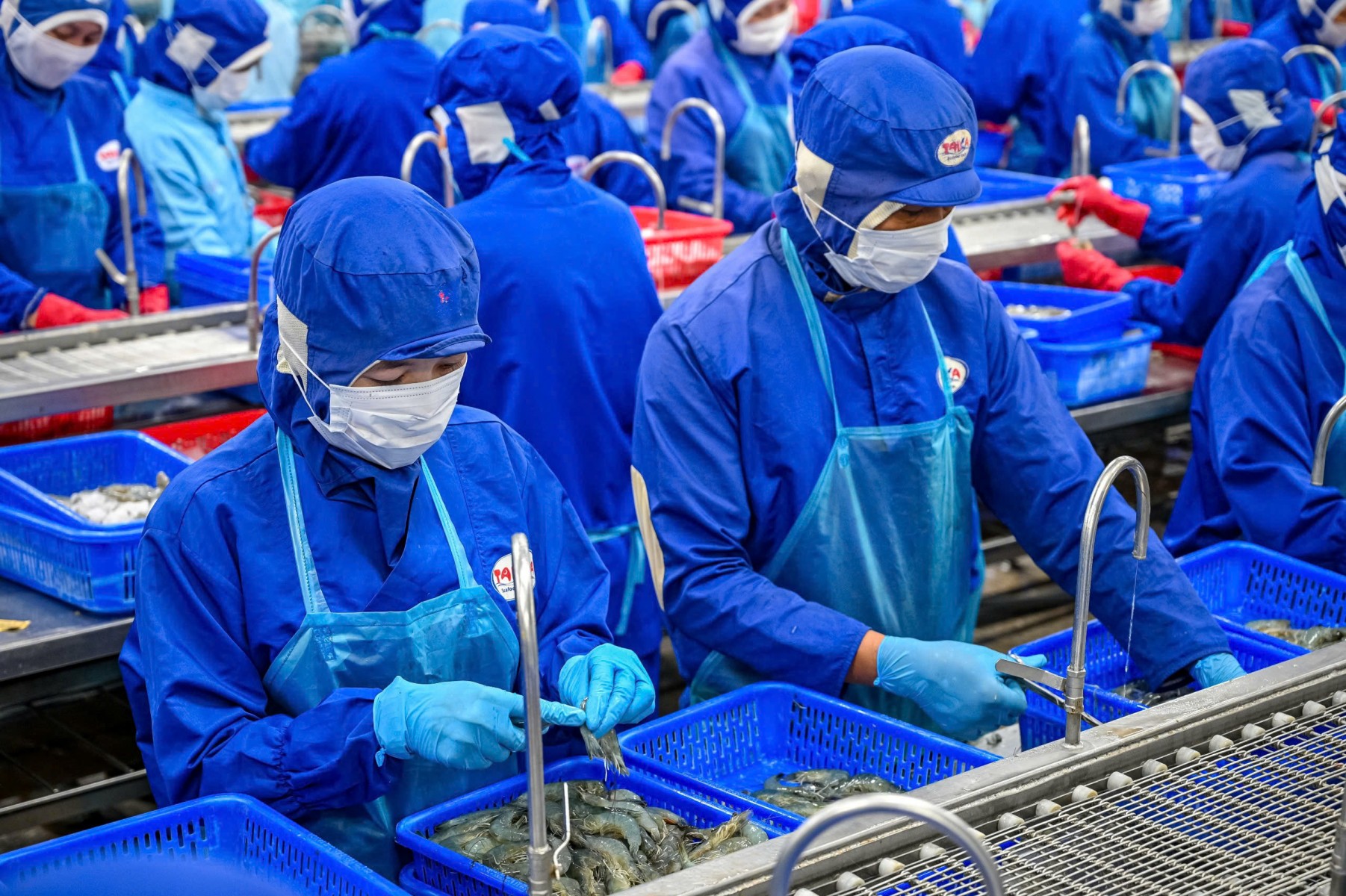 Công nhân ngành thủy sản ở Cần Thơ mong sớm tiếp cận nhà ở xã hội