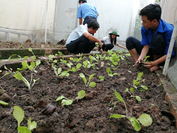 “VƯỜN RAU SẠCH” CÔNG ĐOÀN